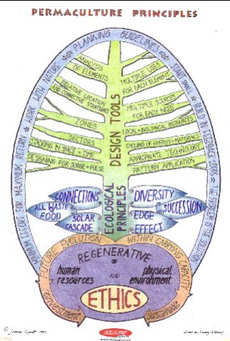 permaculture_poster_-_holocenenet